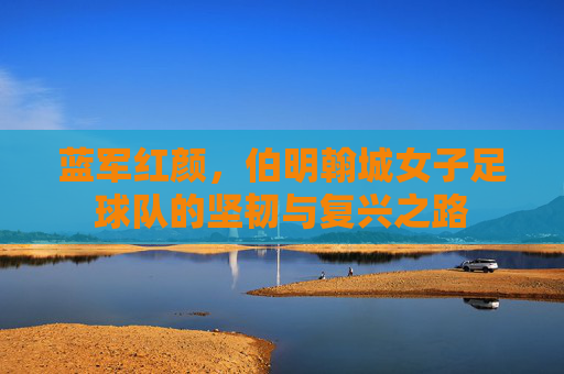 蓝军红颜,伯明翰城女子足球队的坚韧与复兴之路