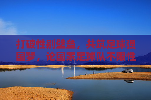 打破性别壁垒,共筑足球强国梦,论国家足球队不限性别的未来