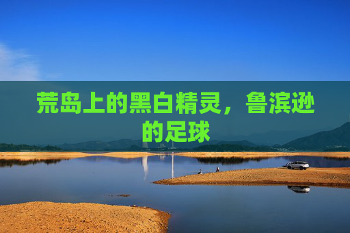 荒岛上的黑白精灵，鲁滨逊的足球