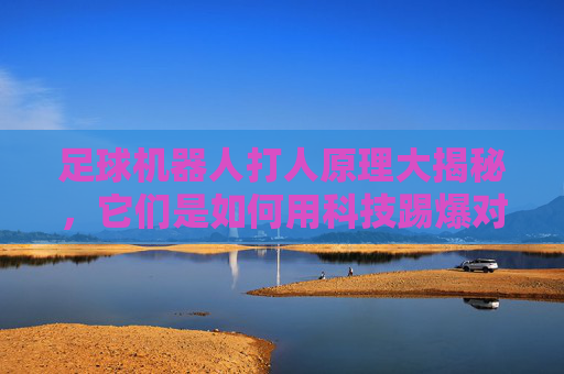 足球机器人打人原理大揭秘,它们是如何用科技踢爆对手的?