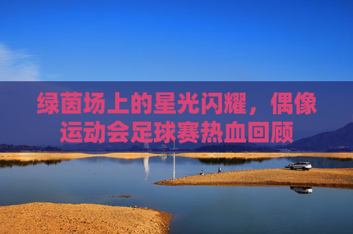 绿茵场上的星光闪耀,偶像运动会足球赛热血回顾