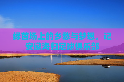 绿茵场上的乡愁与梦想,记安徽海归足球俱乐部