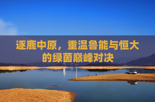 逐鹿中原,重温鲁能与恒大的绿茵巅峰对决