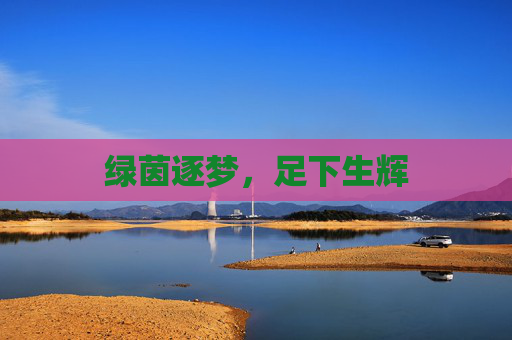 绿茵逐梦,足下生辉