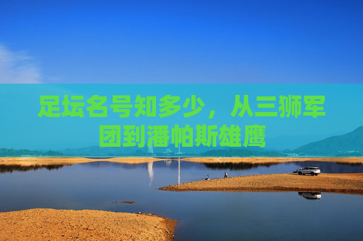 足坛名号知多少,从三狮军团到潘帕斯雄鹰