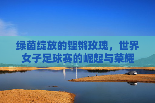 绿茵绽放的铿锵玫瑰,世界女子足球赛的崛起与荣耀