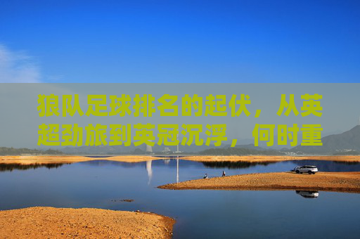 狼队足球排名的起伏,从英超劲旅到英冠沉浮,何时重返巅峰?