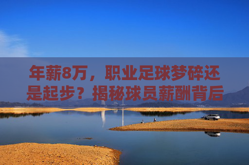 年薪8万，职业足球梦碎还是起步？揭秘球员薪酬背后的残酷真相