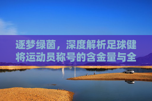 逐梦绿茵,深度解析足球健将运动员称号的含金量与全称