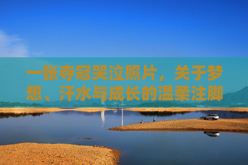 一张夺冠哭泣照片,关于梦想、汗水与成长的温柔注脚
