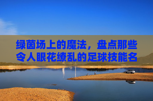 绿茵场上的魔法,盘点那些令人眼花缭乱的足球技能名称