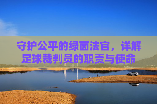 守护公平的绿茵法官,详解足球裁判员的职责与使命