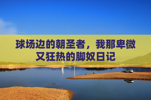 球场边的朝圣者,我那卑微又狂热的脚奴日记