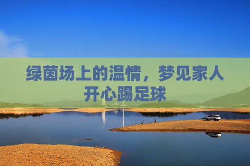 绿茵场上的温情,梦见家人开心踢足球