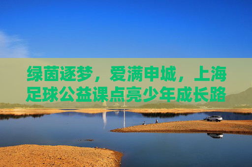 绿茵逐梦,爱满申城,上海足球公益课点亮少年成长路