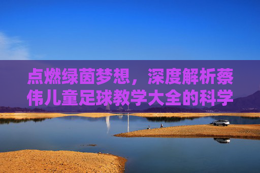 点燃绿茵梦想,深度解析蔡伟儿童足球教学大全的科学训练体系