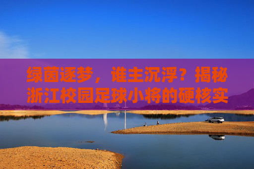 绿茵逐梦,谁主沉浮?揭秘浙江校园足球小将的硬核实力