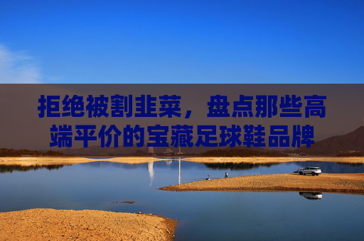 拒绝被割韭菜，盘点那些高端平价的宝藏足球鞋品牌