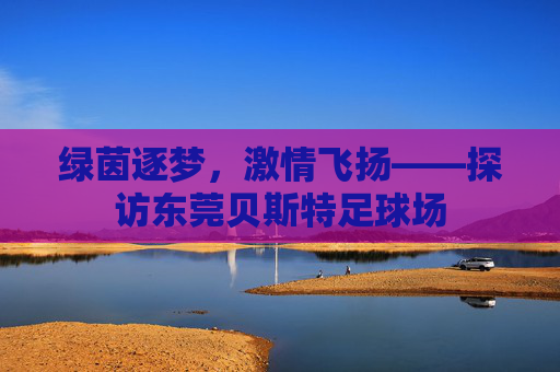绿茵逐梦,激情飞扬——探访东莞贝斯特足球场