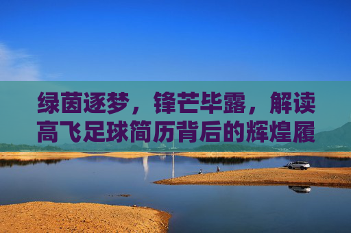 绿茵逐梦，锋芒毕露，解读高飞足球简历背后的辉煌履历