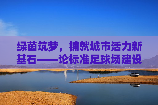 绿茵筑梦,铺就城市活力新基石——论标准足球场建设的深远意义
