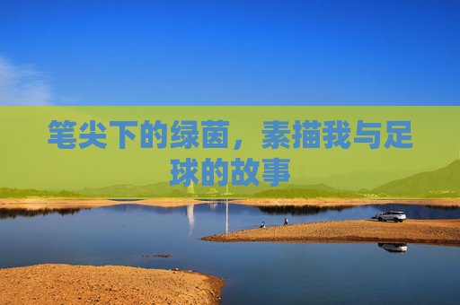 笔尖下的绿茵,素描我与足球的故事