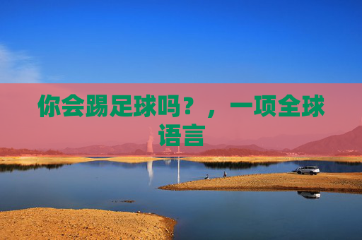 你会踢足球吗?,一项全球语言