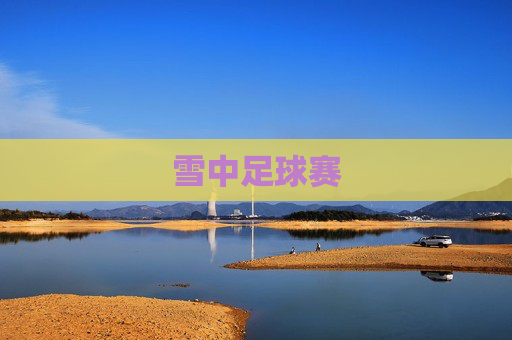雪中足球赛