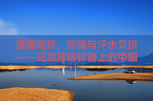 绿茵逐梦,荣耀与汗水交织——记足球锦标赛上的中国队员