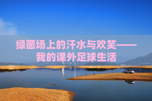 绿茵场上的汗水与欢笑——我的课外足球生活