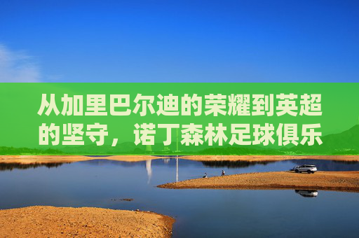 从加里巴尔迪的荣耀到英超的坚守,诺丁森林足球俱乐部的传奇史诗