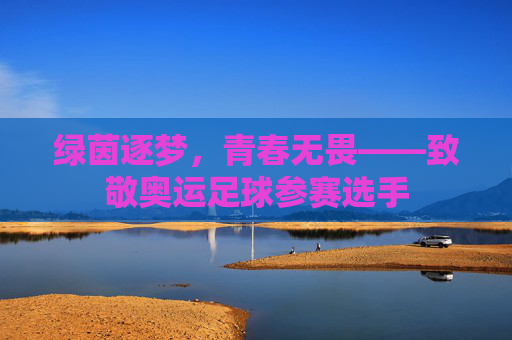 绿茵逐梦,青春无畏——致敬奥运足球参赛选手