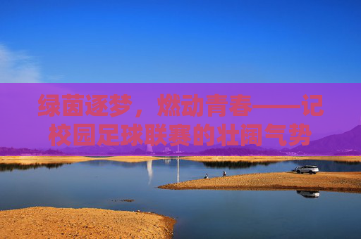 绿茵逐梦，燃动青春——记校园足球联赛的壮阔气势