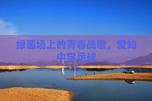 绿茵场上的青春战歌,爱知中学足球