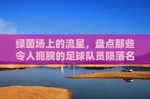 绿茵场上的流星,盘点那些令人扼腕的足球队员陨落名单