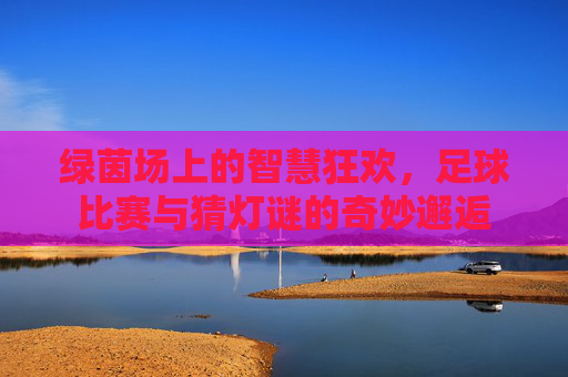 绿茵场上的智慧狂欢,足球比赛与猜灯谜的奇妙邂逅