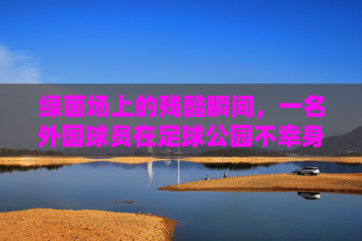 绿茵场上的残酷瞬间，一名外国球员在足球公园不幸身亡