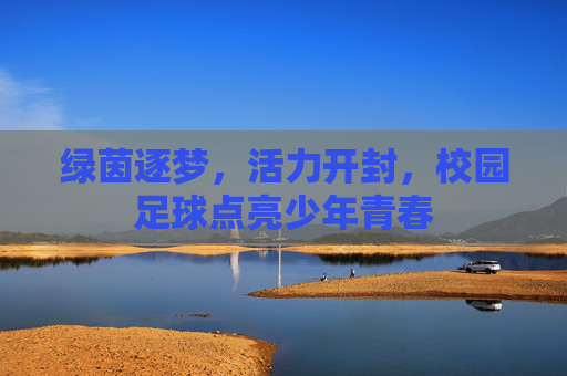 绿茵逐梦,活力开封,校园足球点亮少年青春
