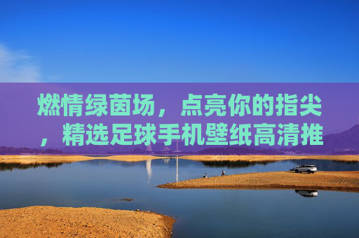 燃情绿茵场,点亮你的指尖,精选足球手机壁纸高清推荐