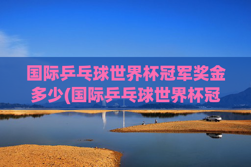 国际乒乓球世界杯冠军奖金多少(国际乒乓球世界杯冠军奖金多少钱)