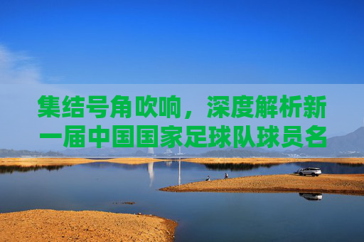 集结号角吹响,深度解析新一届中国国家足球队球员名单