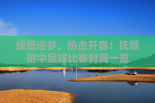 绿茵逐梦,热血开赛!抚顺附中足球比赛时间一览