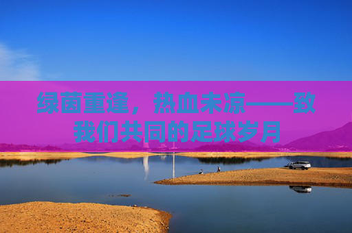 绿茵重逢,热血未凉——致我们共同的足球岁月