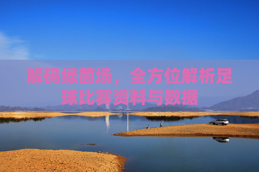 解码绿茵场,全方位解析足球比赛资料与数据