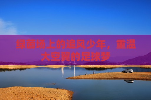 绿茵场上的追风少年,重温大空翼的足球梦