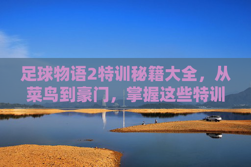 足球物语2特训秘籍大全,从菜鸟到豪门,掌握这些特训技巧轻松夺冠