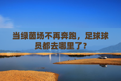当绿茵场不再奔跑,足球球员都去哪里了?