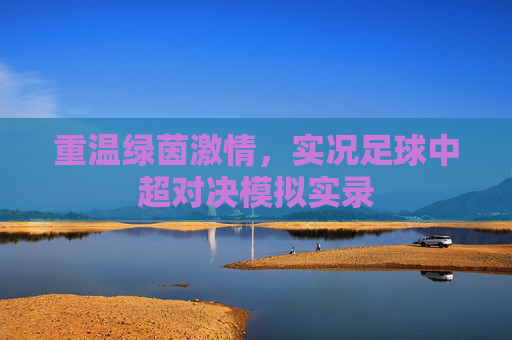 重温绿茵激情,实况足球中超对决模拟实录