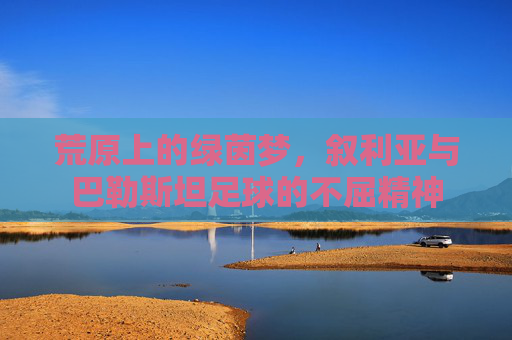 荒原上的绿茵梦，叙利亚与巴勒斯坦足球的不屈精神