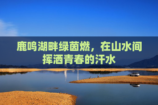 鹿鸣湖畔绿茵燃，在山水间挥洒青春的汗水